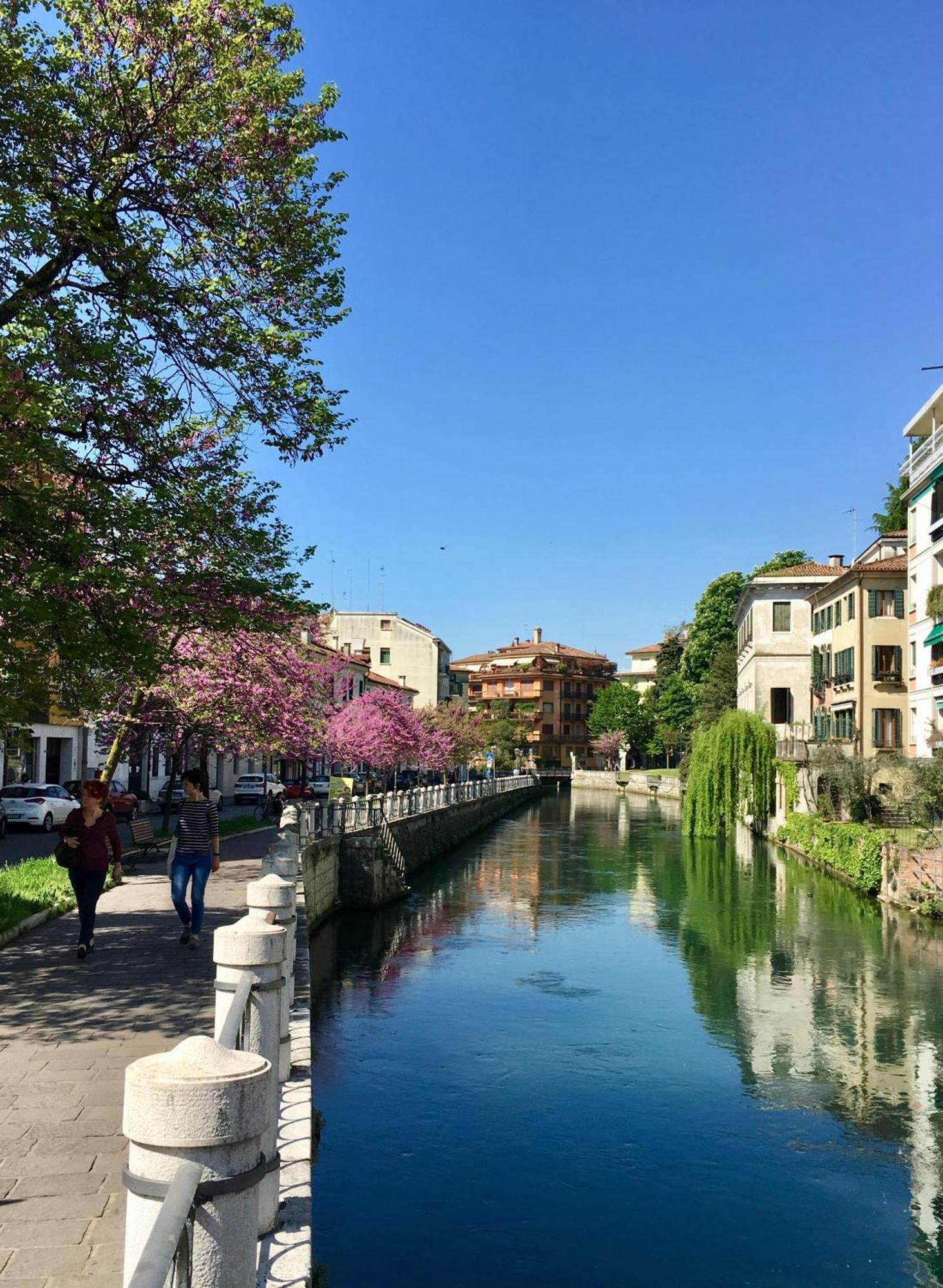 Maison Altinia Hotell Treviso Exteriör bild